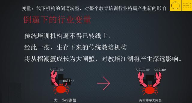 这次疫情，为什么一批教育机构倒闭了，一批却爆发式增长？